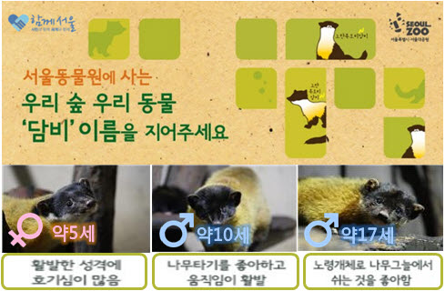 서울대공원 담비 전시장에서 살고 있는 “담비”이름을 지어주세요