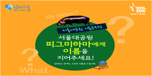 앞못보고 외로운 피그미하마에게 이름을 지어주세요