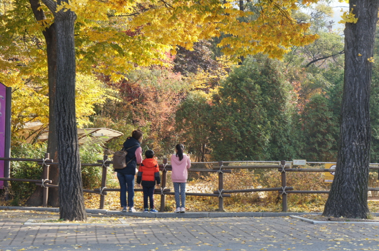 5.가을을 담는 가족
