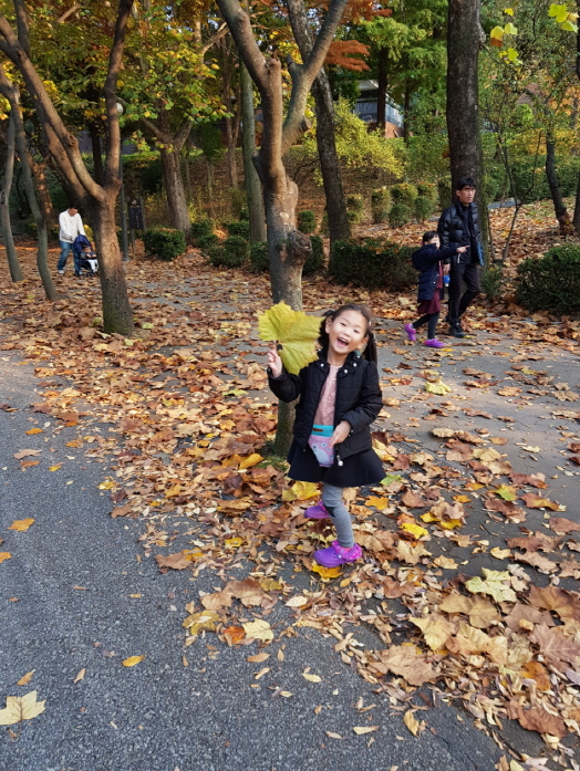 10.낙엽과 함께