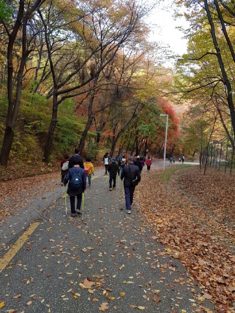 15.노르딕 워킹