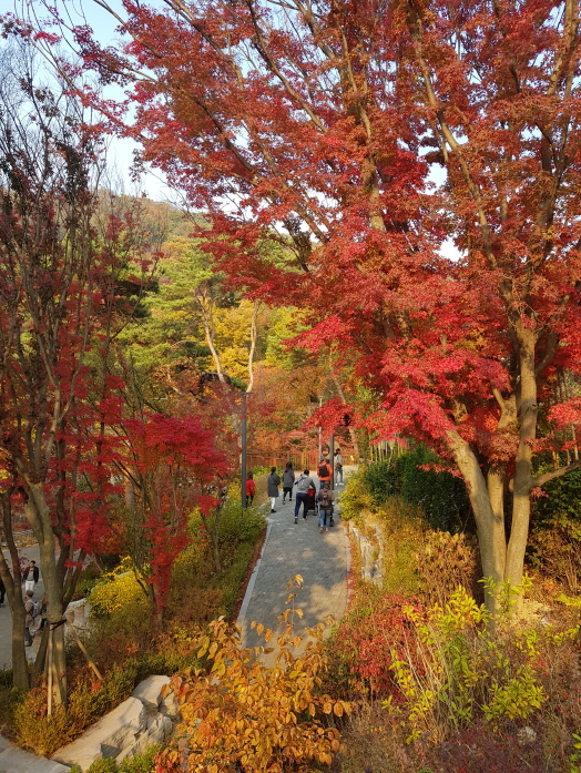 23.붉은 단풍 속 가족