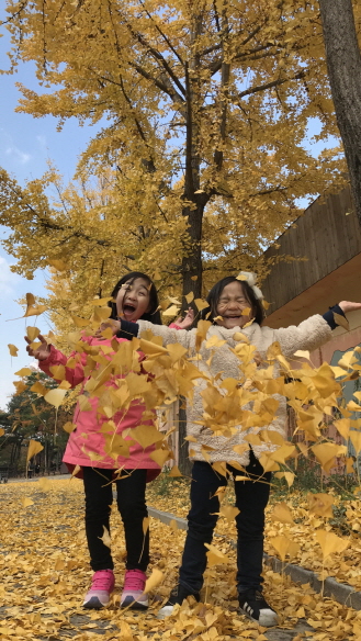 25.어린이의 노란 꿈
