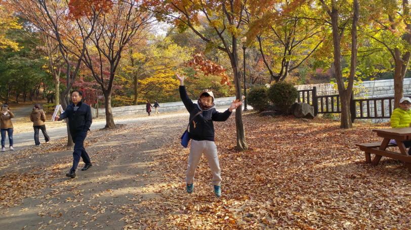16.단풍 구름