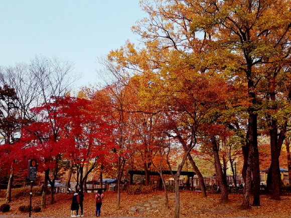 17.단풍 무지개