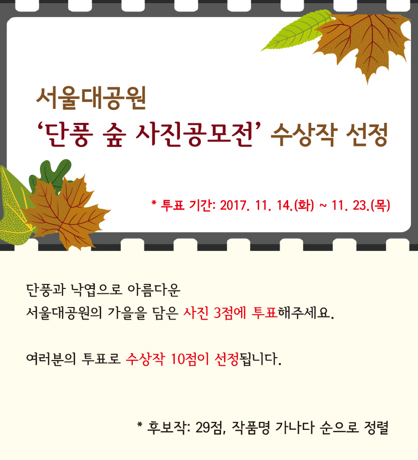'단풍 숲 사진공모전' 수상작을 선정해주세요.(29점 중 3점 선택)