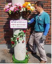 [도시교통] 신월3동 꽃기둥 따라 걷는 우리 마을