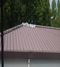 장애인편의증진센터 지붕 보수 사업