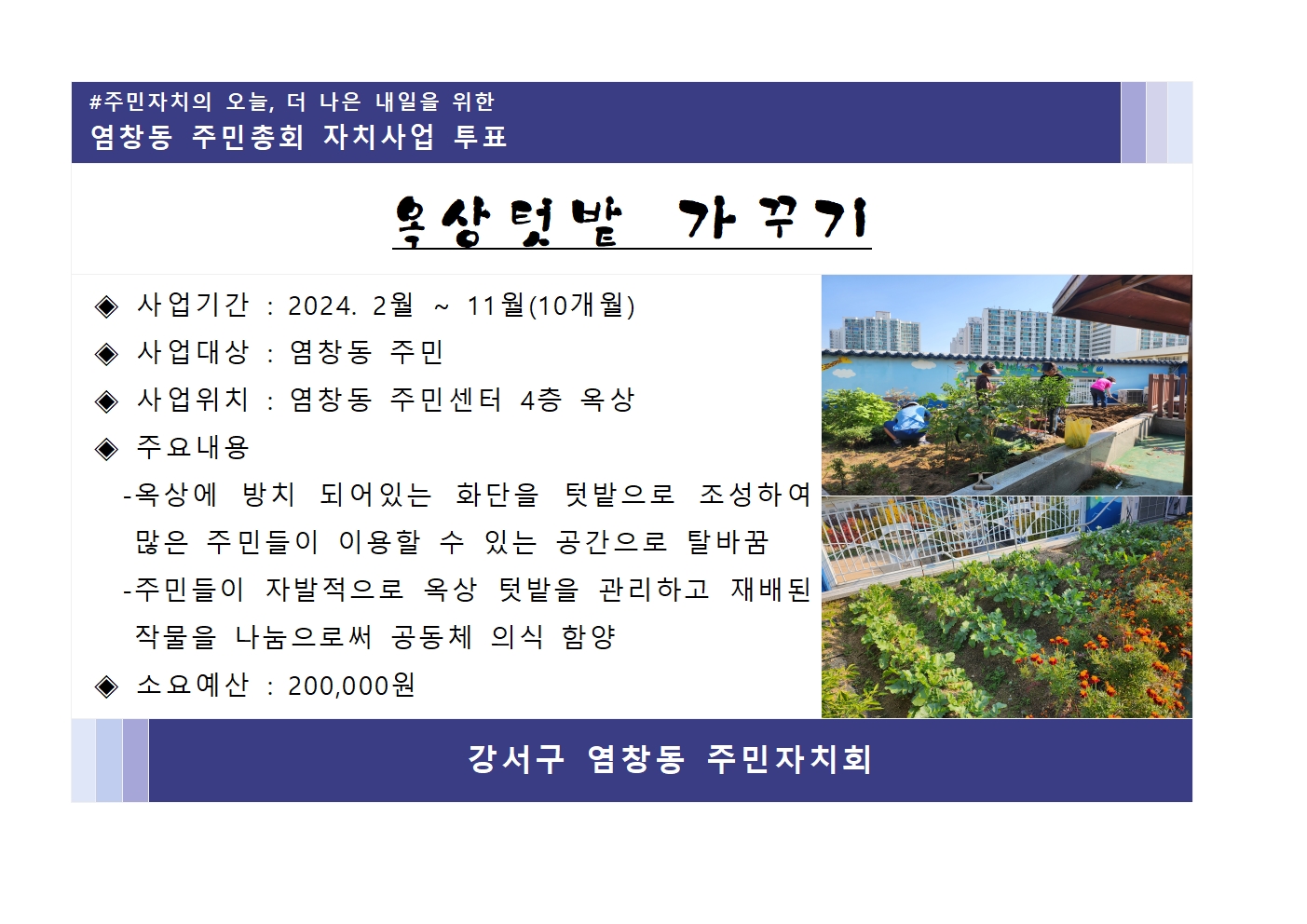 옥상 텃밭 가꾸기