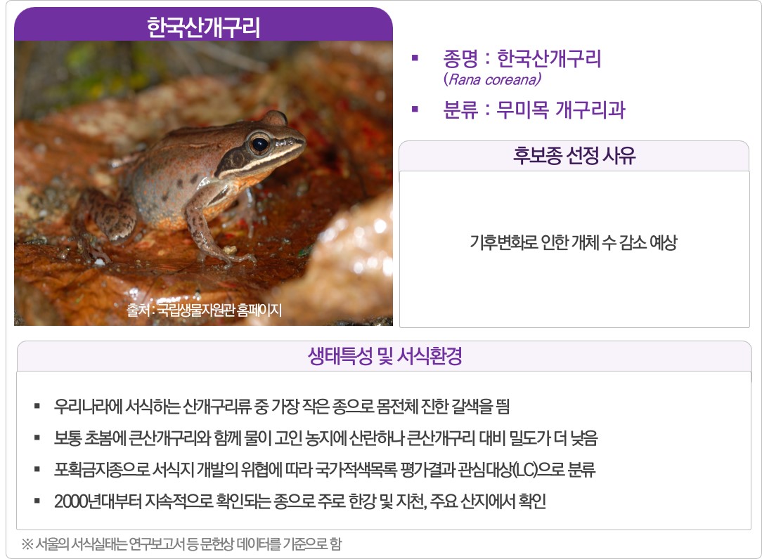한국산개구리