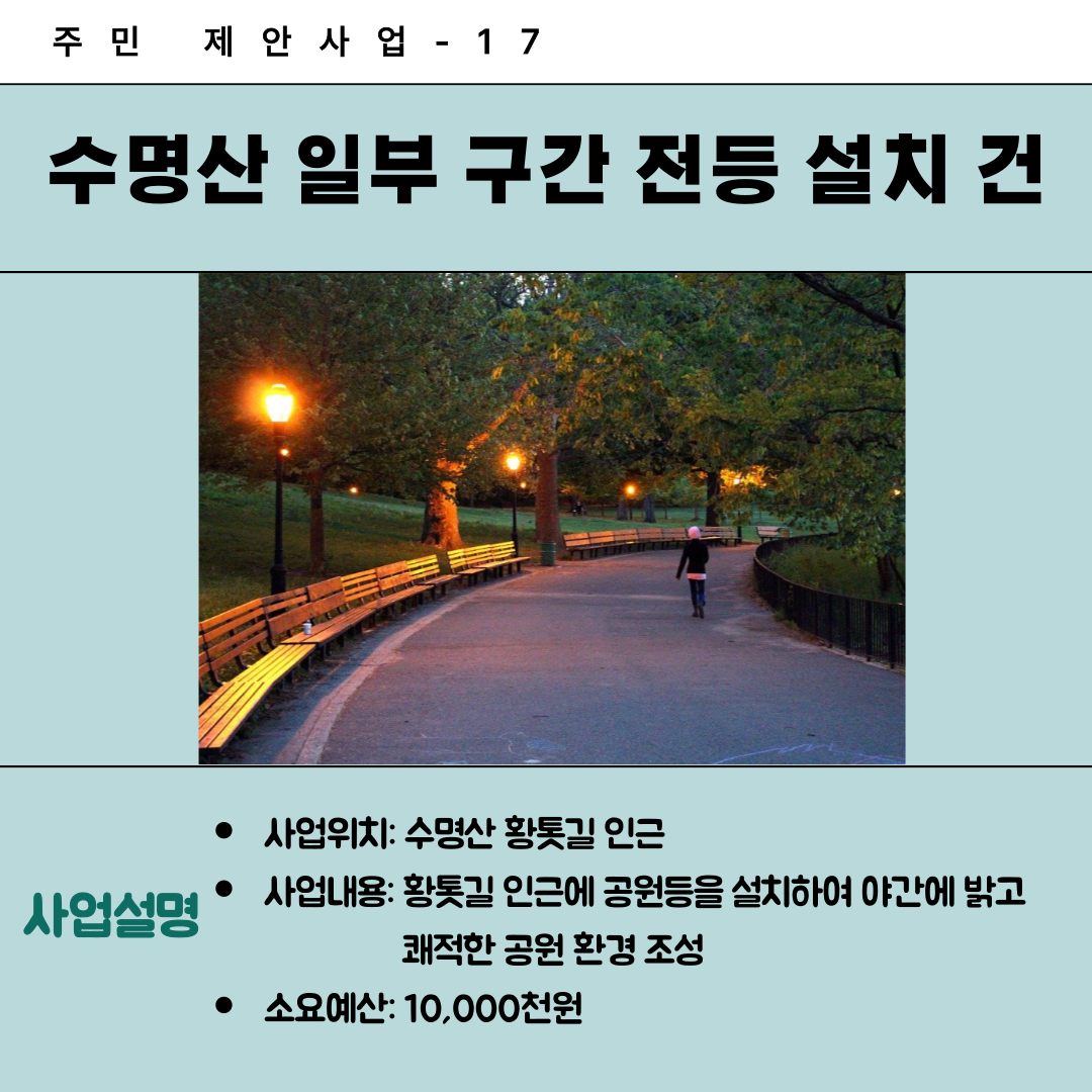 17. 수명산 일부 구간 전등 설치 건