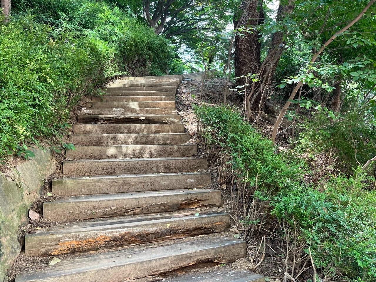 (방배4동) 서리풀공원 진입로 목재 계단 정비 및 안전 난간 설치