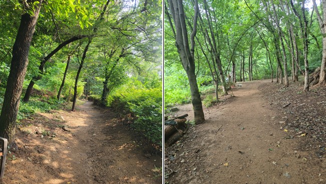 (방배4동) 서리풀공원 산책로 벤치 추가설치
