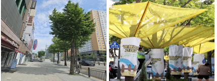 도시건설분야 후보13 　은행나무 가로수길 편하게 걷고 싶어요. (은행나무 그물망 설치)