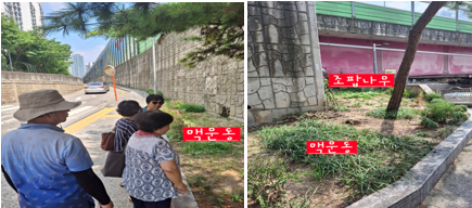도시건설분야 후보32 　기찻길 옆 예쁜 꽃밭