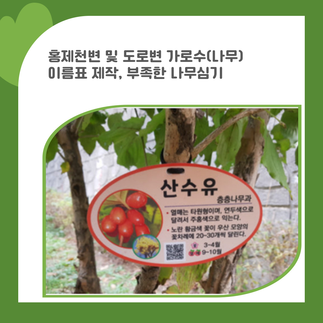 12. 홍제천변 및 도로변 가로수(나무) 이름표 제작, 부족한 나무 심기