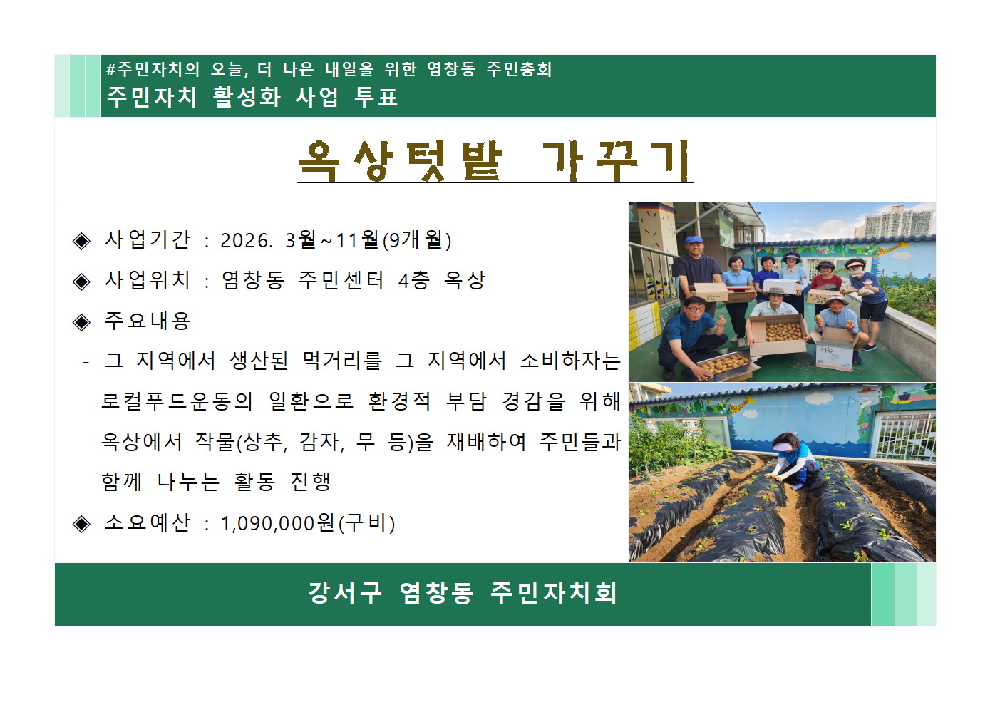 옥상텃밭 가꾸기