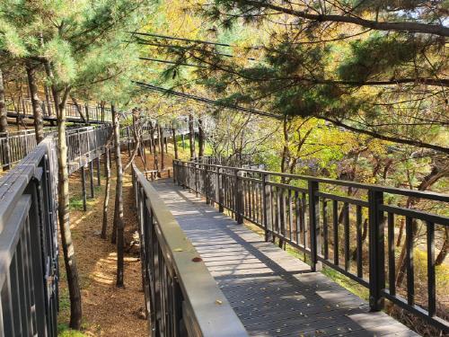 누구나 모두 함께 즐기는 숲과 공원, 『무장애 산책길(데크로드) 조성』