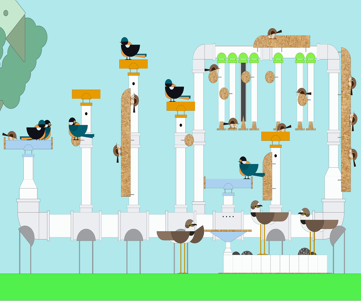 새(New, Bird) 이웃
