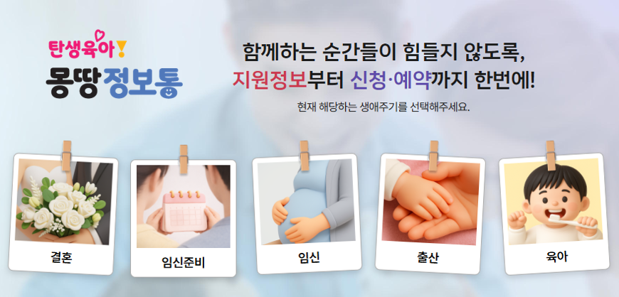 탄생육아 몽땅정보통 사용자 만족도 설문조사